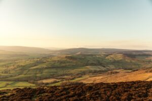 Drone Services Near Me
